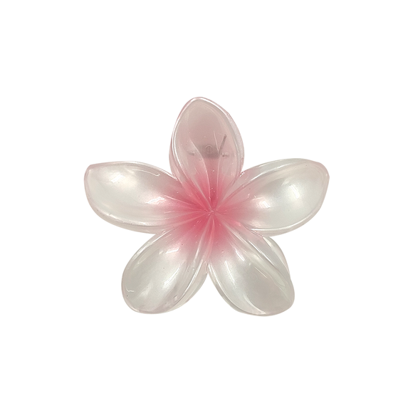 HAIR GRIP GLOSS FRANGIPANI FROSTED WHITE AND LIGHT PINK