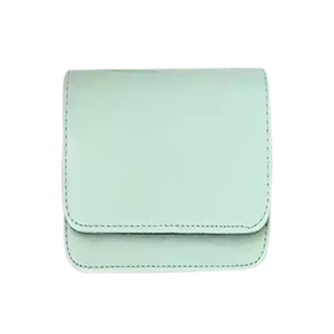 TRAVEL TECH CASE MINT