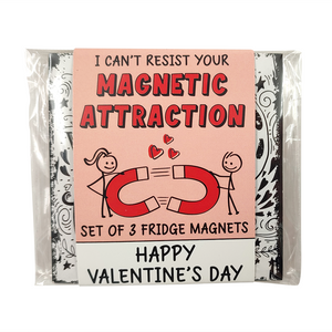 MAGNET SET OF 3 MAGNETIC ATTRACTION
